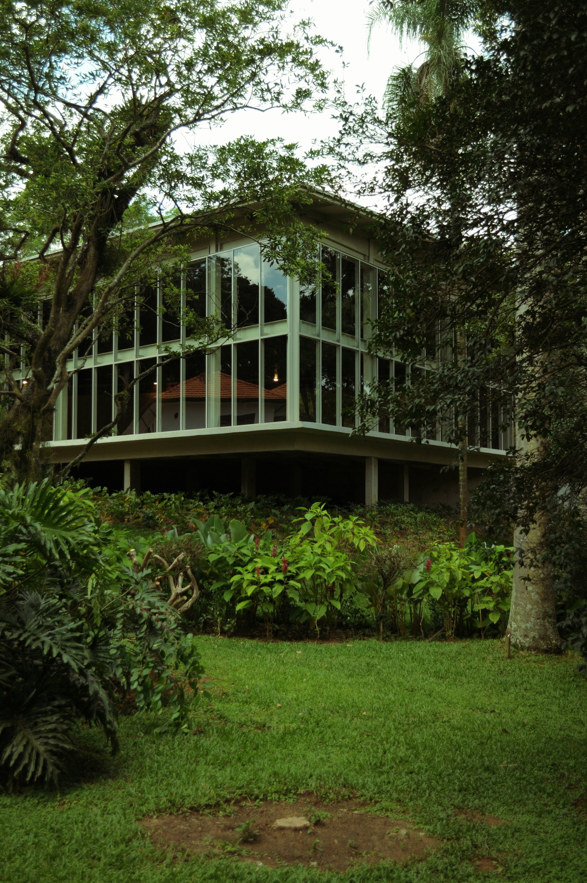 Residencia de vidrio y madera entre árboles altos del bosque