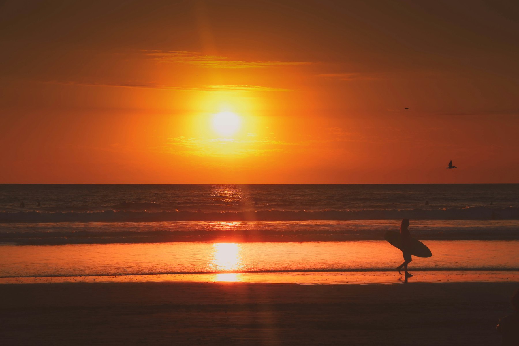 Surfista caminando por la orilla en Nosara al atardecer